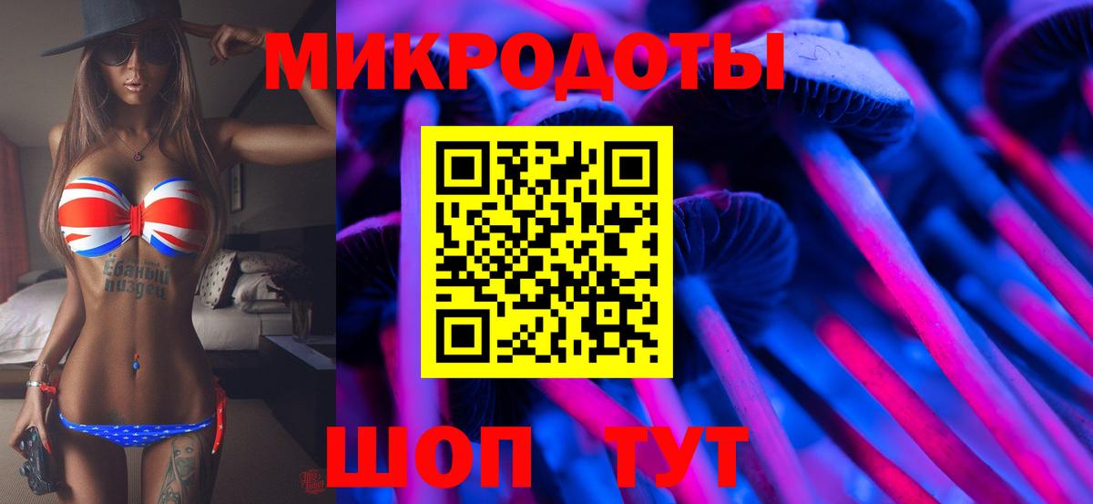 Псилоцибиновые грибы Psilocybine cubensis Комсомольск-на-Амуре